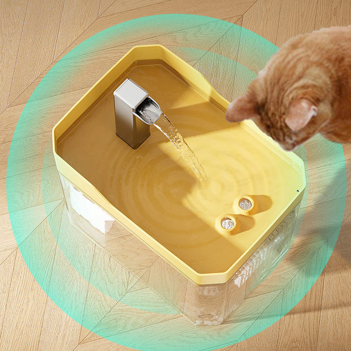 Dog And Cat Water Dispenser